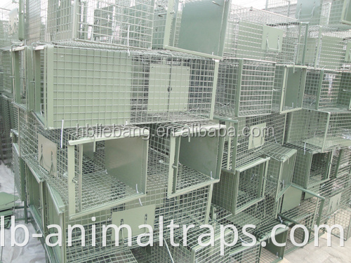 Wire Trap Cage